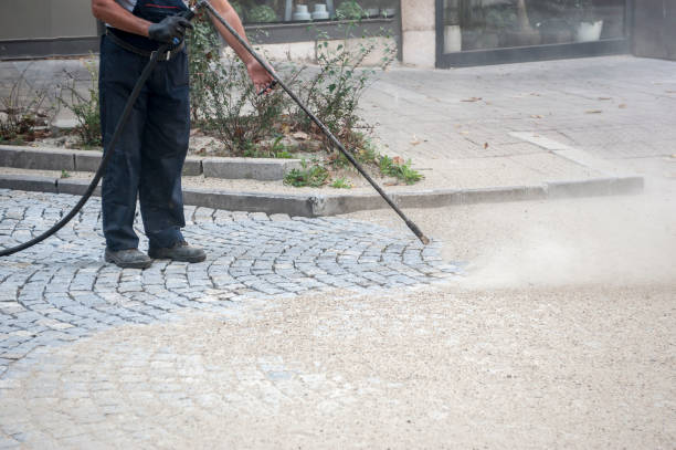 Animal Enclosure Cleaning in Ben Avon, SC